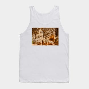 Lick Wash Trail Hike Tank Top